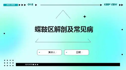 蝶鞍区解剖及常见病