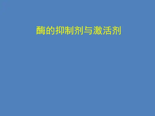酶的抑制剂与激活剂