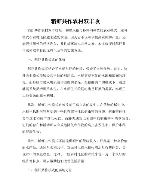 稻虾共作农村双丰收