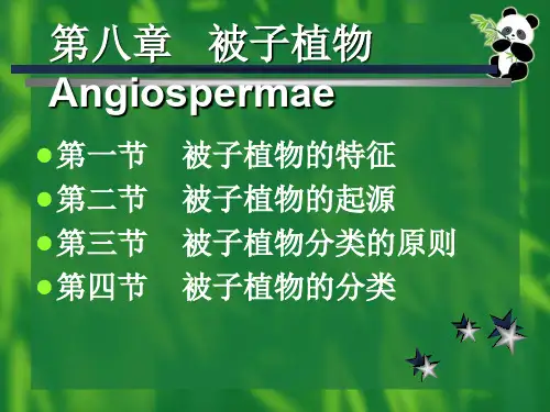 被子植物