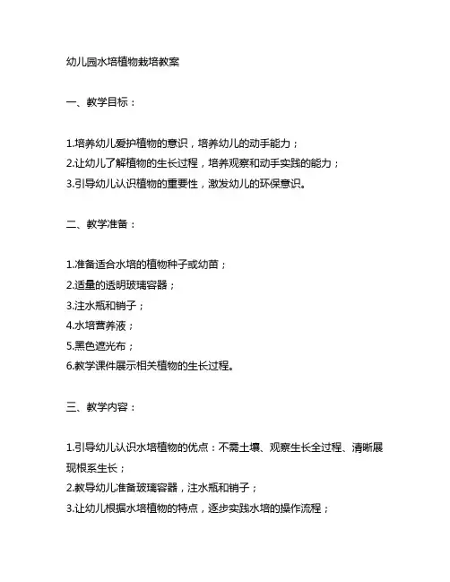 幼儿园水培植物栽培教案 幼儿园植物教案