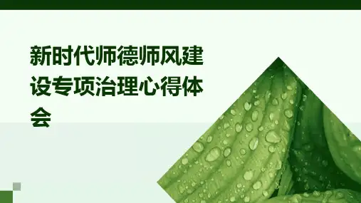 新时代师德师风建设专项治理心得体会PPT