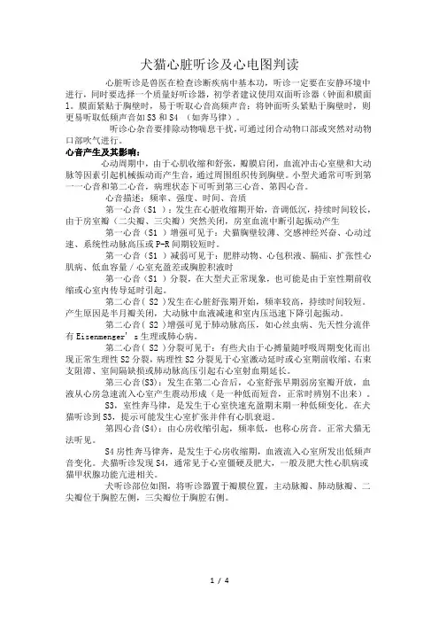 犬猫心脏听诊以及心电图判读