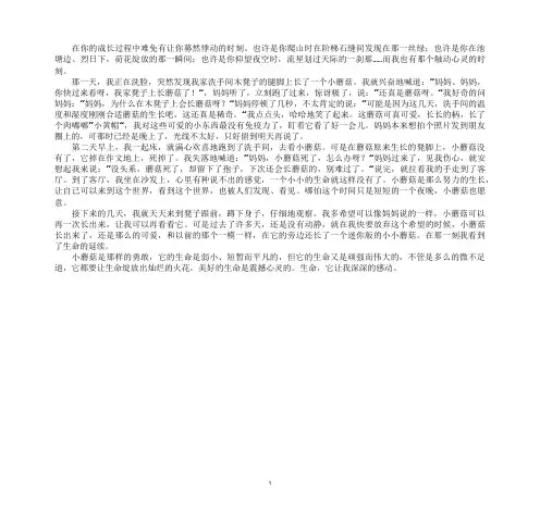 最新一个小小的生命就这样没有了作文