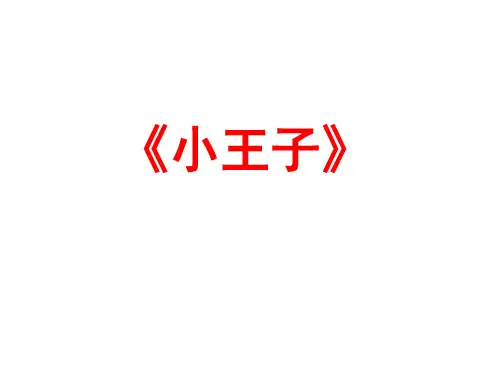小王子问题汇编 (1)