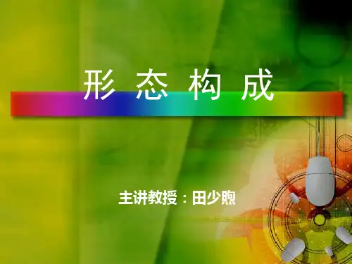 第五章平面形态的构成(特异、密集、肌理、空间)汇编