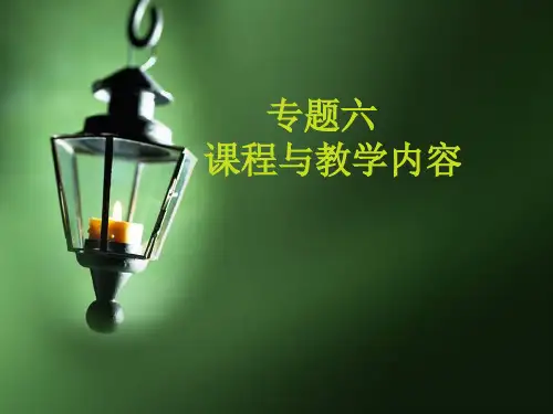 专题七：课程与教学内容的选择