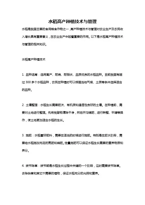 水稻高产种植技术与管理