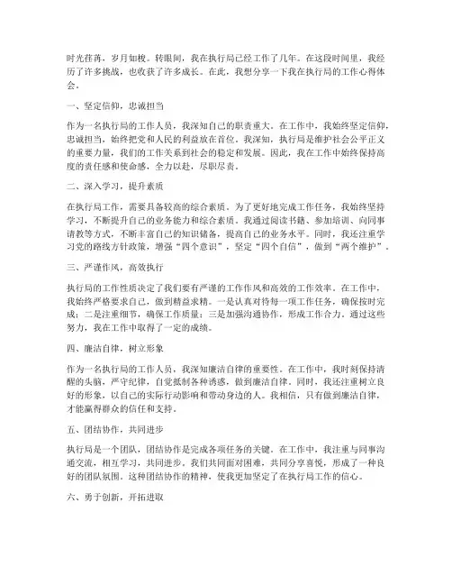 执行局个人工作心得体会
