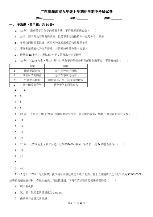 广东省深圳市九年级上学期化学期中考试试卷
