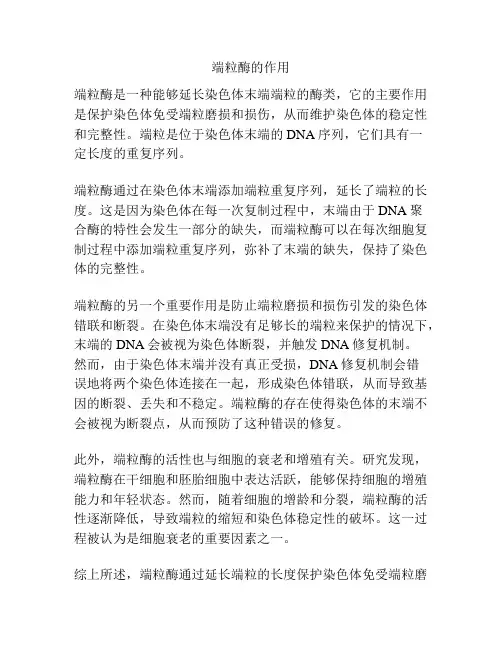端粒酶的作用