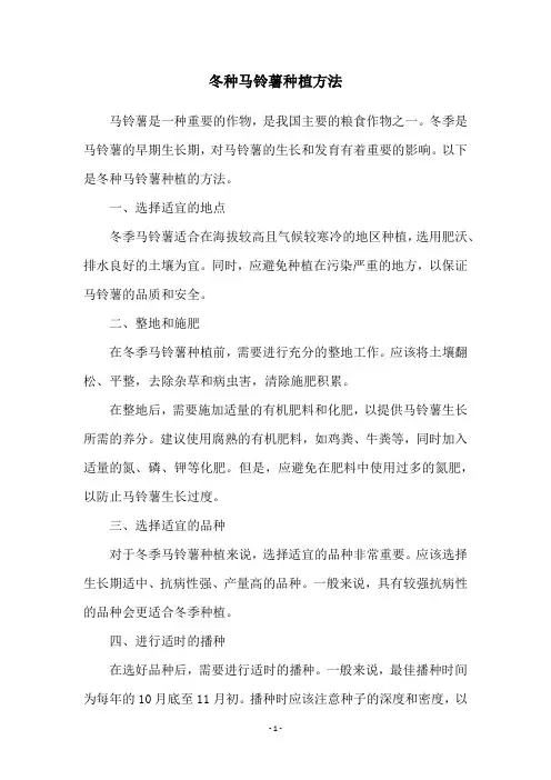冬种马铃薯种植方法