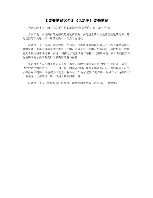 【读书笔记大全】《风之王》读书笔记