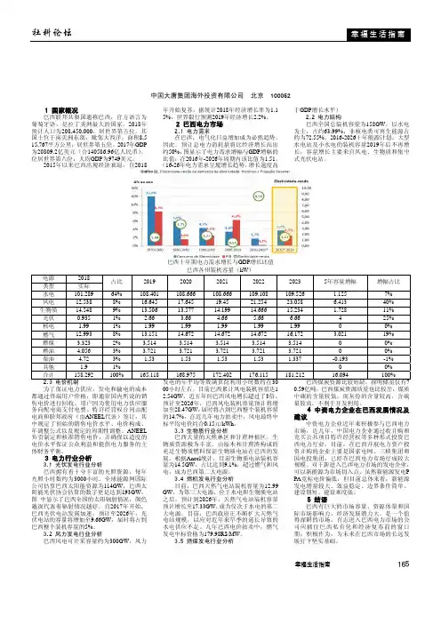 巴西电力市场分析与建议