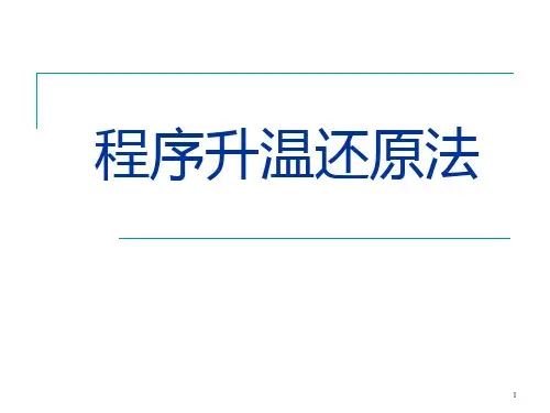 程序升温还原法ppt课件