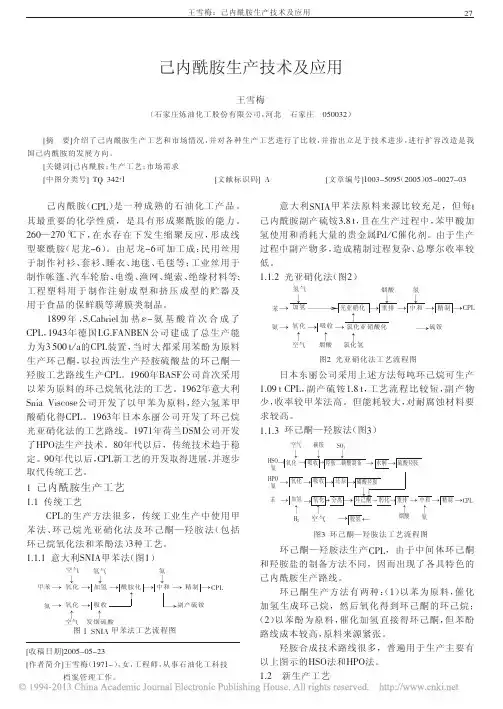 己内酰胺生产技术及应用_王雪梅