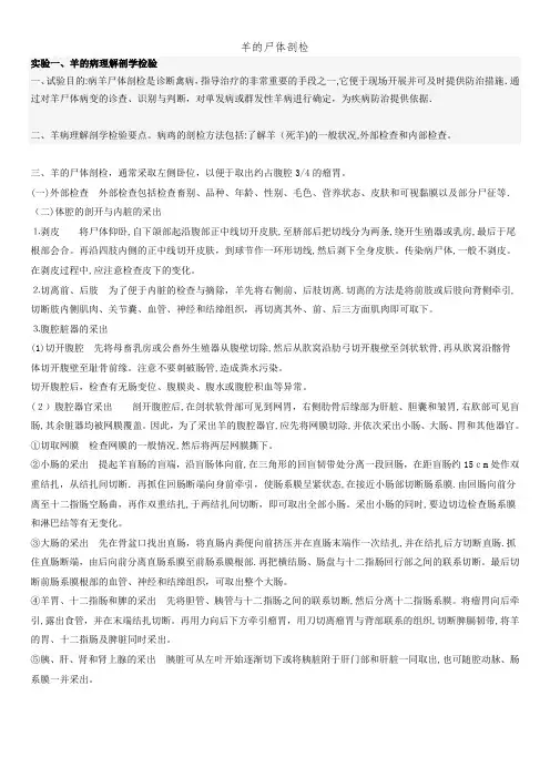羊的尸体剖检