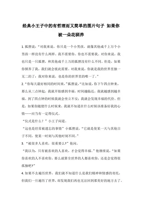 经典小王子中的有哲理而又简单的图片句子 如果你被一朵花驯养