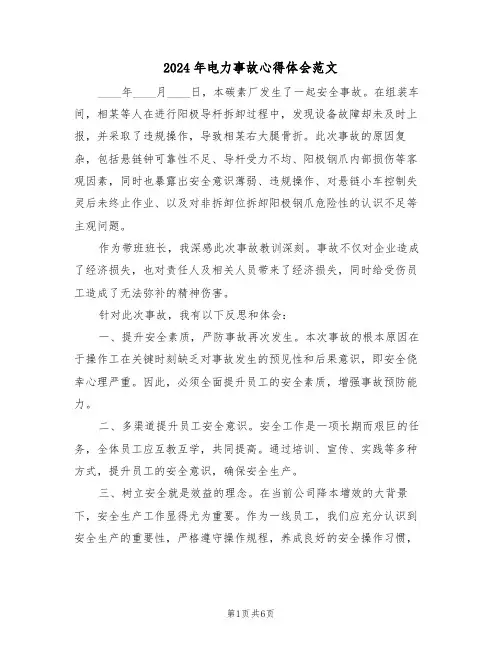 2024年电力事故心得体会范文（五篇）