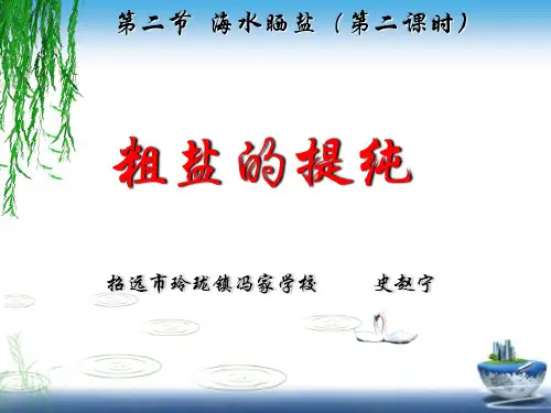 海水“晒盐”PPT课件(5)