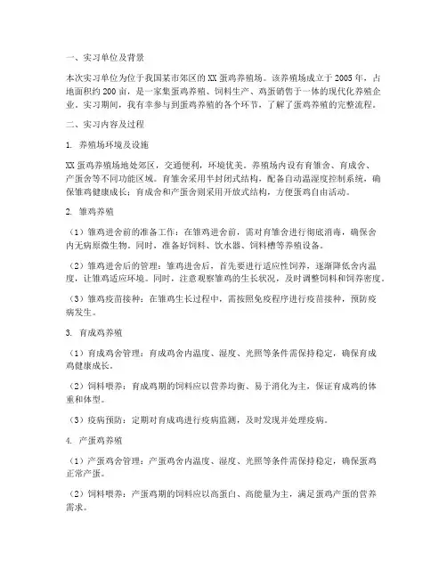 蛋鸡养殖场实习报告