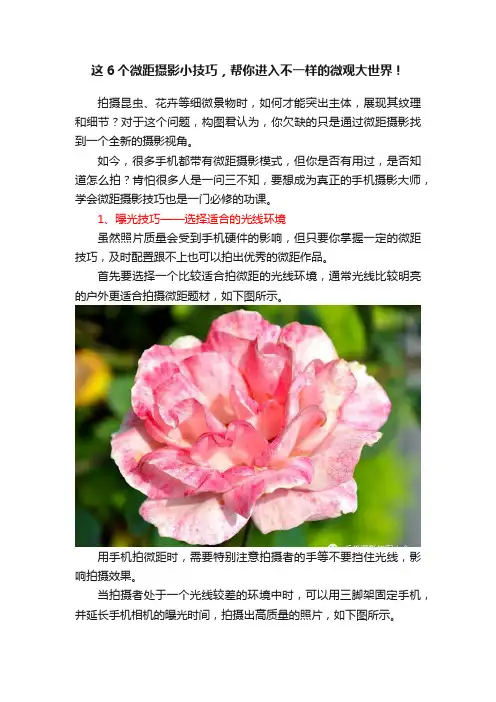 这6个微距摄影小技巧，帮你进入不一样的微观大世界！