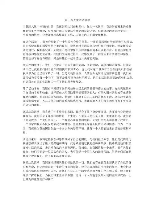 国王与天使活动感想