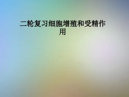 二轮复习细胞增殖和受精作用
