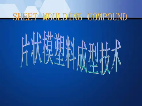 SMC压制工艺介绍
