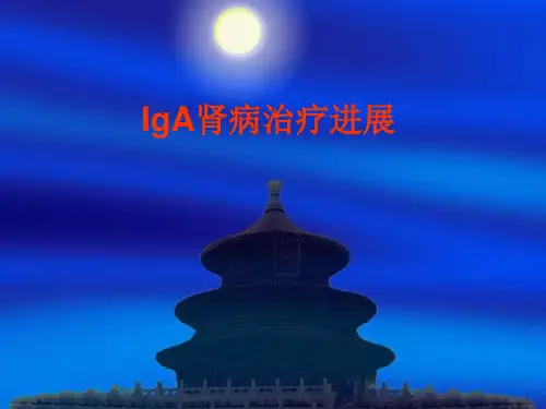 IgA肾病治疗进展