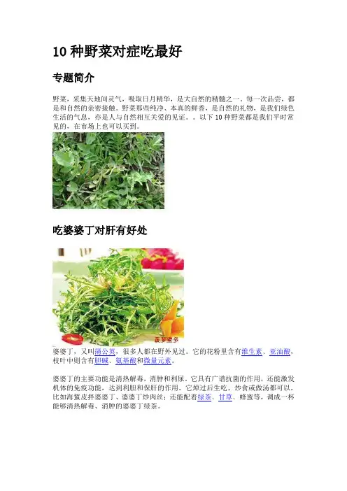 10种野菜对症吃最好