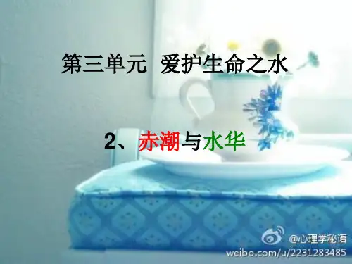 水华与赤潮