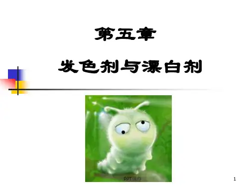 食品添加剂--食品护色剂与漂白剂  ppt课件