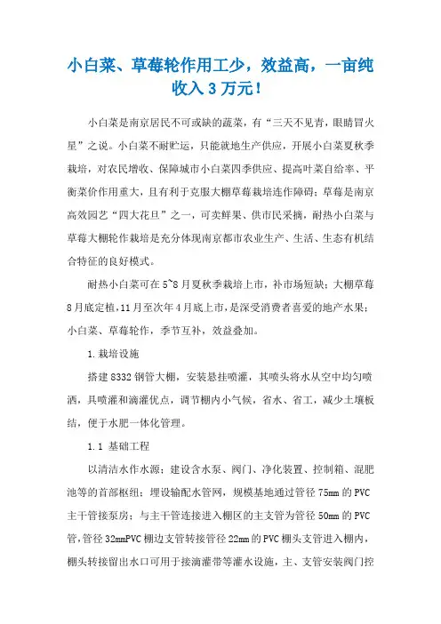 小白菜、草莓轮作用工少,效益高,一亩纯收入3万元!