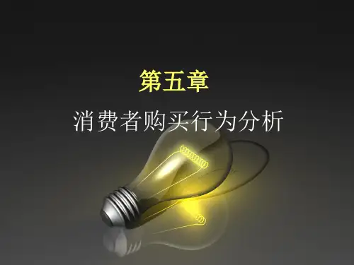 消费者购买行为分析(PPT64页)