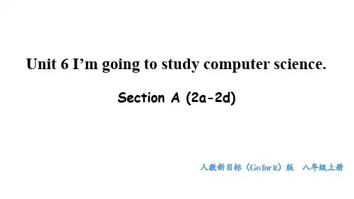 Unit 6 I'm going to study computer science(人教)