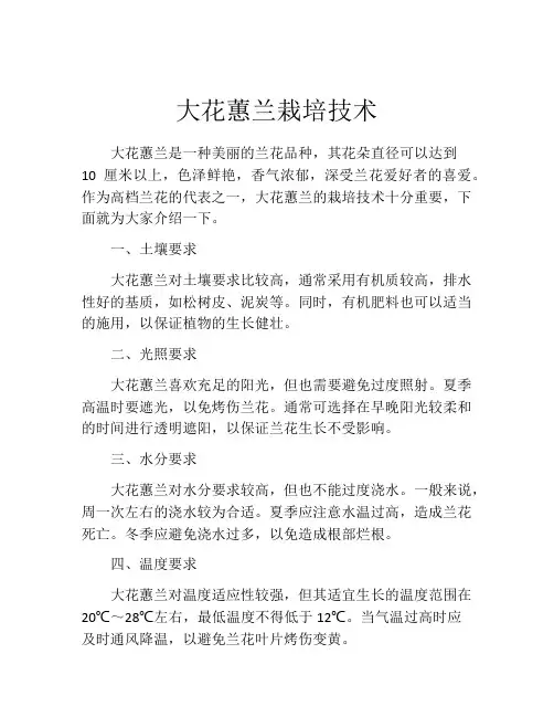 大花蕙兰栽培技术