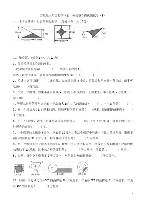 苏教版六年级数学下册 分类整合测试卷(6) 