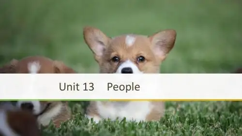 2018-2019学年高一英语北师大必修5新导学同步通用版课件：Unit 13 Period Four