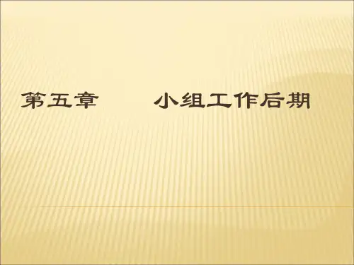 第五章 小组工作后期