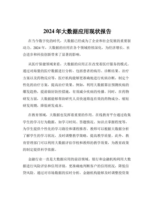 2024年大数据应用现状报告