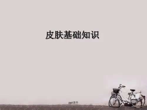 皮肤基础与皮肤美容  PPT课件