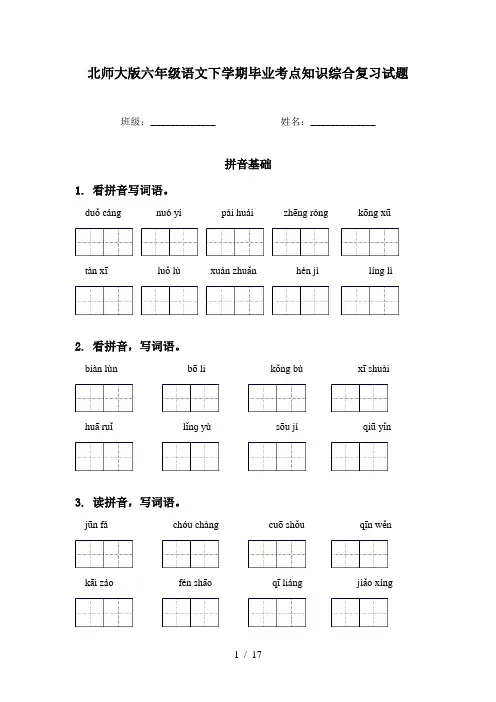 北师大版六年级语文下学期毕业考点知识综合复习试题