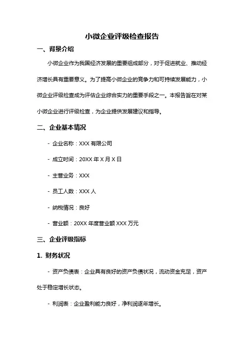小微企业评级检查报告