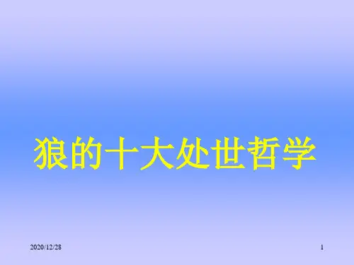 狼的十大处世哲学ppt素材