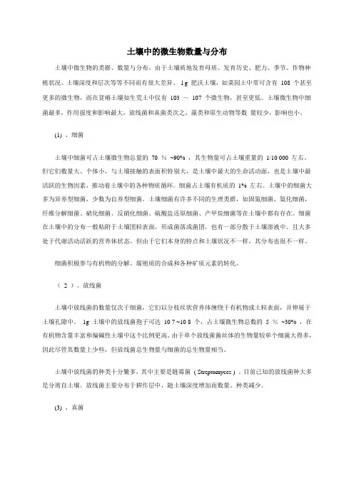 土壤里的生物