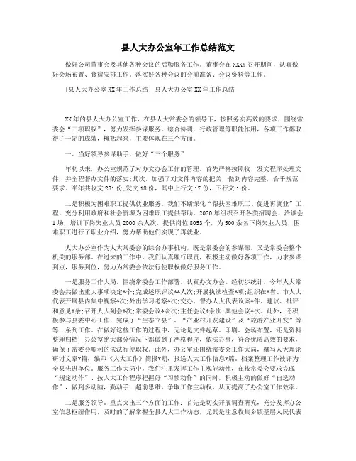 县人大办公室年工作总结范文