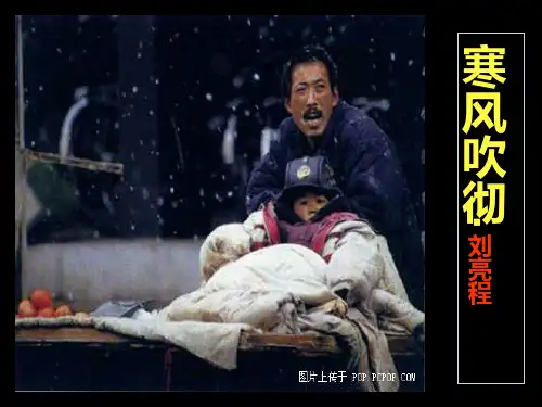 寒风吹彻优秀PPT课件