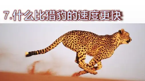 最新部编版五年级语文上册第7课《什么比猎豹的速度更快》优质课件