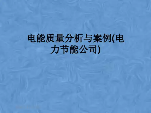 电能质量分析与案例(电力节能公司)
